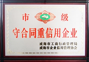Municipal-level contract-honoring and trustworthy enterprise